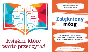 Read more about the article Zalękniony mózg